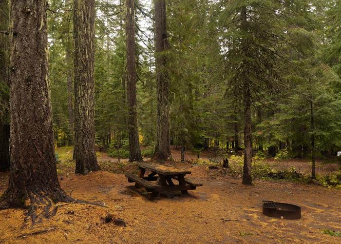 Peterson Prairie Campground Camping The Dyrt