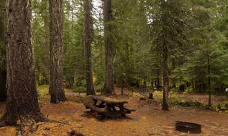 Camping near Peterson Prairie Cabin: Peterson Prairie Campground, Trout Lake, Washington