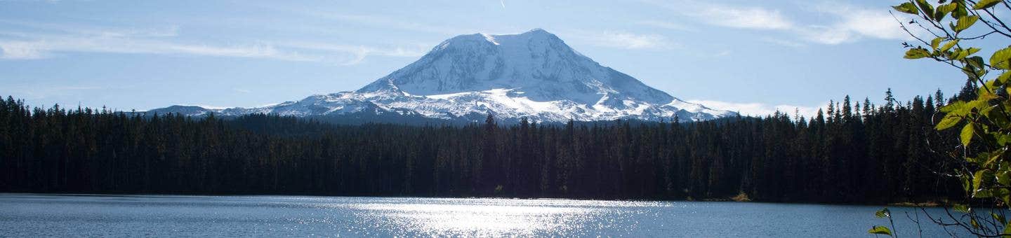 Mt. Adams behind Takhlakh Lake



Credit: Gifford Pinchot National Forest
