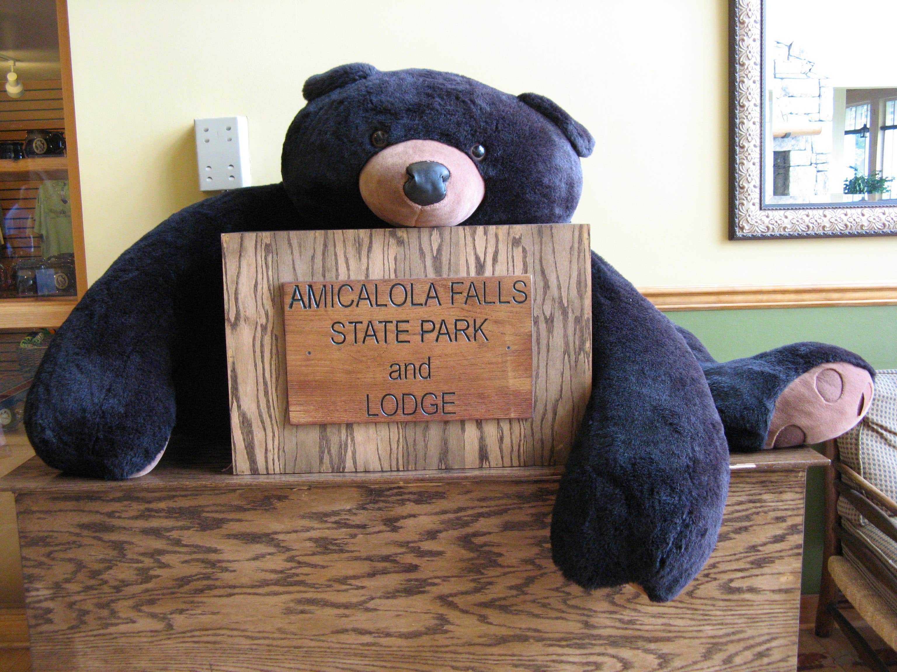 Camper-submitted photo at Amicalola Falls State Park Camping in Georgia