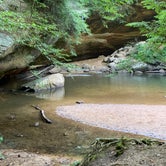 Review photo of Hocking Hills State Park Campground by Sarah R., August 22, 2019
