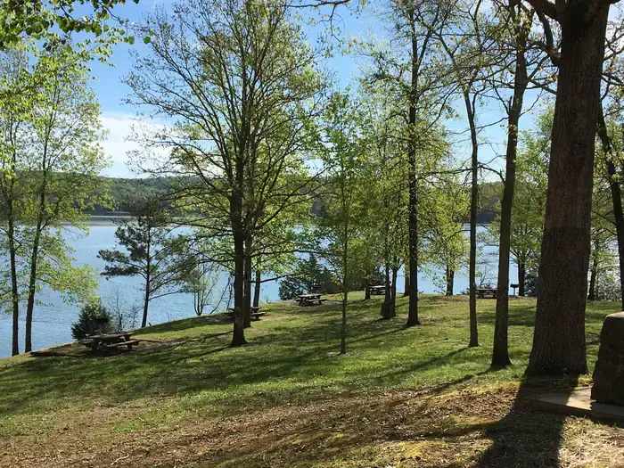 Camper-submitted photo at Lillydale Campground And Day Use near Jamestown, TN