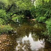 Review photo of Nickerson State Park Campground by Kate K., August 22, 2019