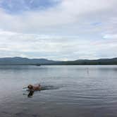 Review photo of Mount Blue State Park Campground by Kristen B., September 27, 2016