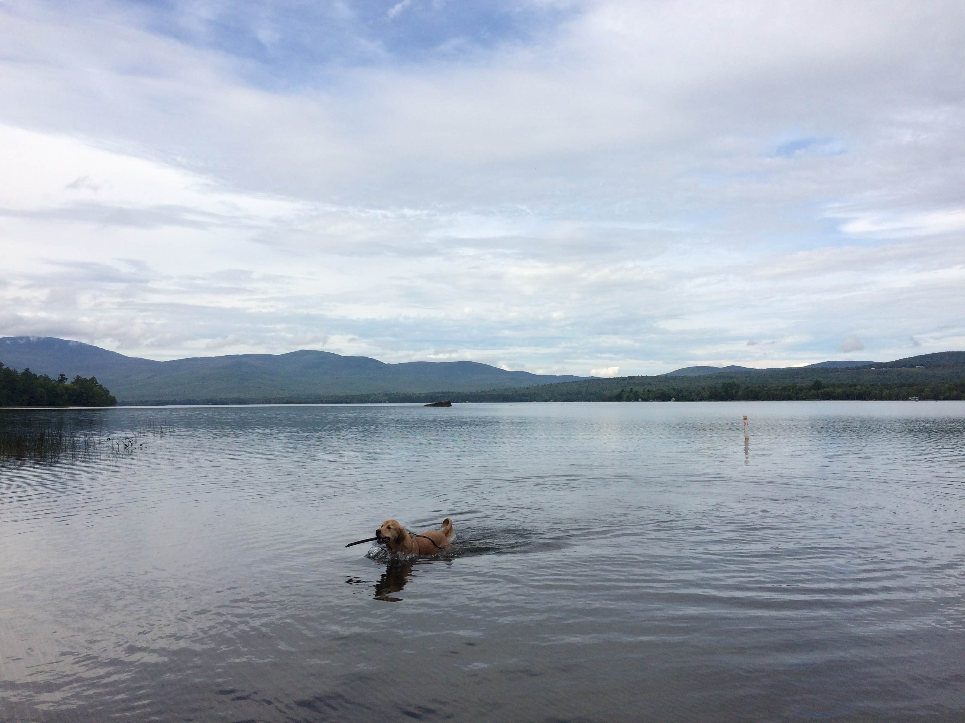 Camper submitted image from Mount Blue State Park Campground - 2