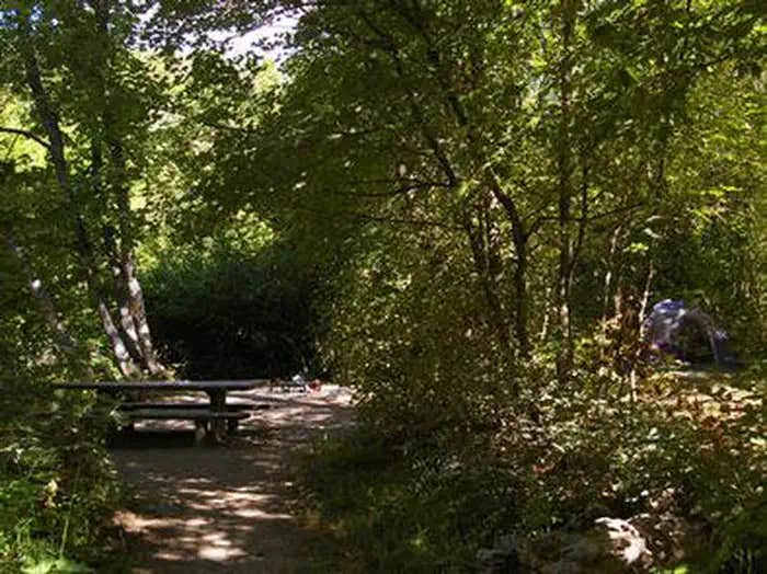 Camper submitted image from Albert Moser - 1