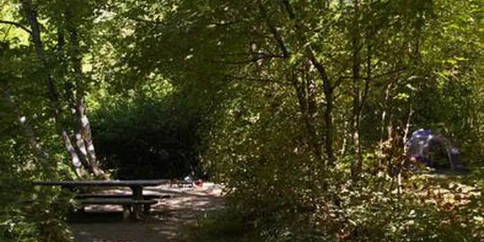 Camper submitted image from Albert Moser