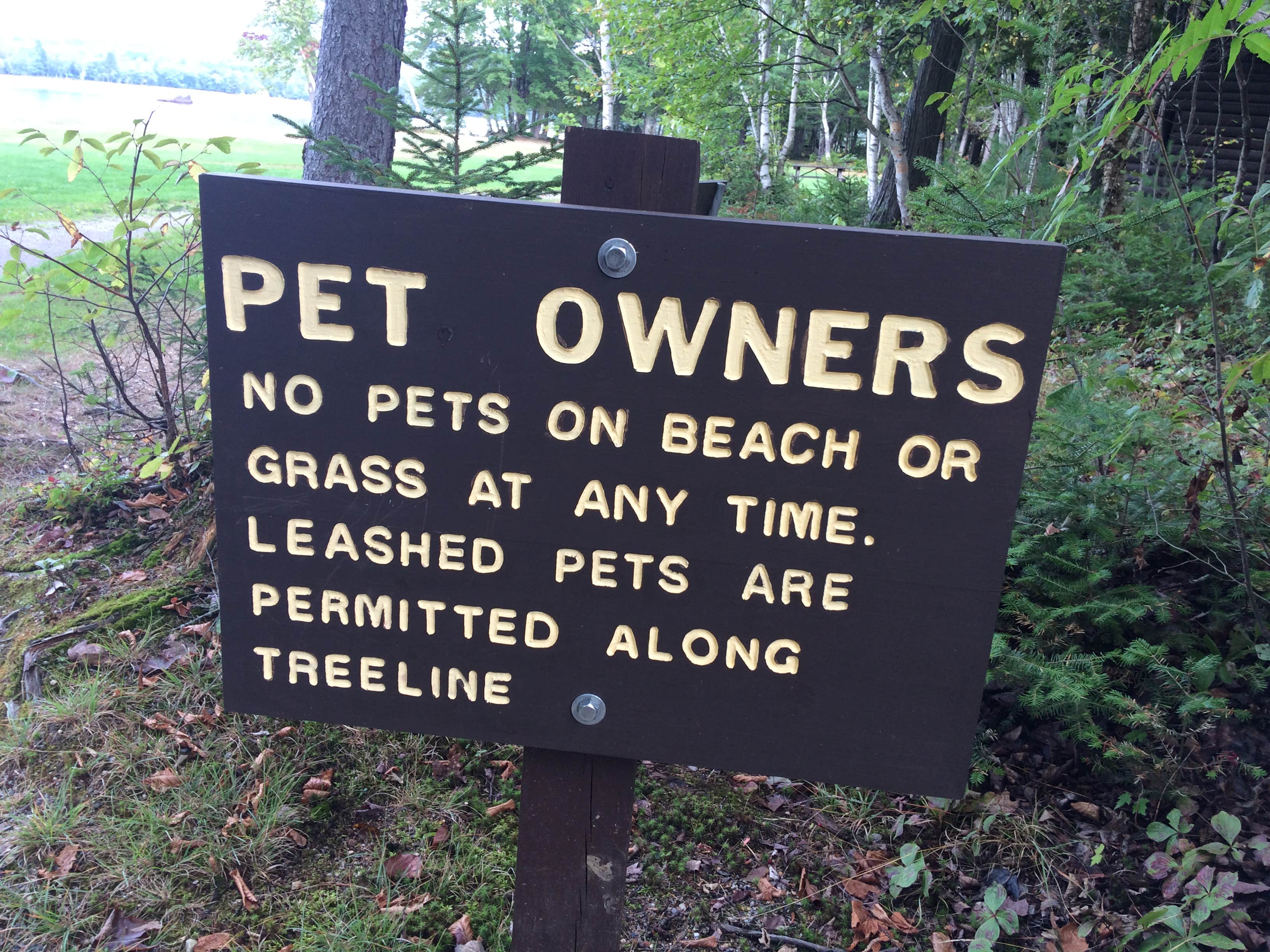 Camper submitted image from Mount Blue State Park Campground - 5