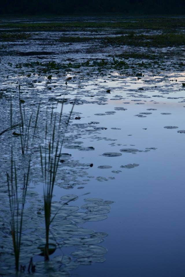 Camper-submitted photo at Hoefts Resort and Campground near Kiel, WI