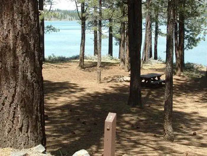 Camper submitted image from Plumas National Forest Spring Creek Campground - 1