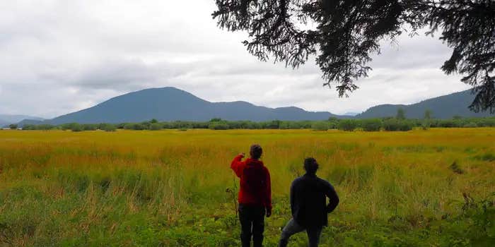 Camper submitted image from Sergief Island Cabin