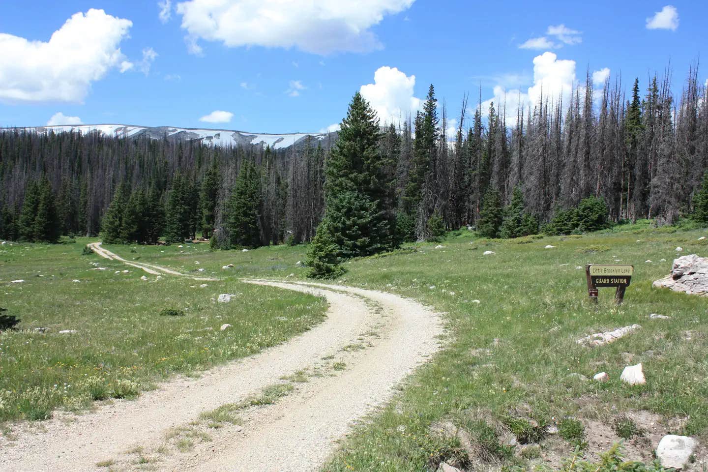 Camper submitted image from Little Brooklyn Lake Guard - Temporarily Closed - 1