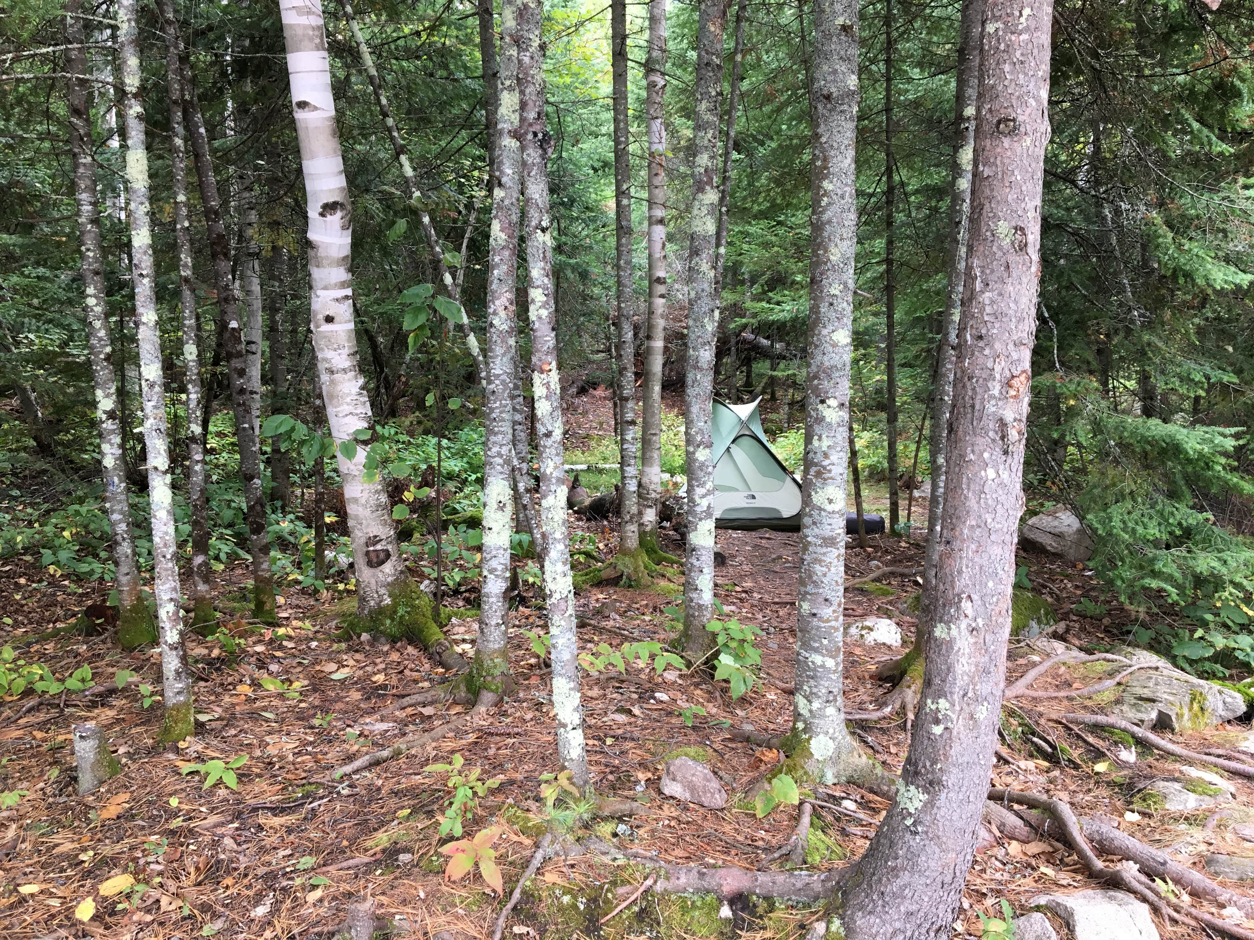 Kate K.'s photo at Crane Lake Primitive Campgrounds near International Falls, MN
