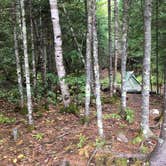 Review photo of Crane Lake Primitive Campgrounds by Kate K., August 22, 2019