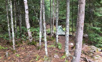 Kate K.'s photo at Crane Lake Primitive Campgrounds near Orr, MN