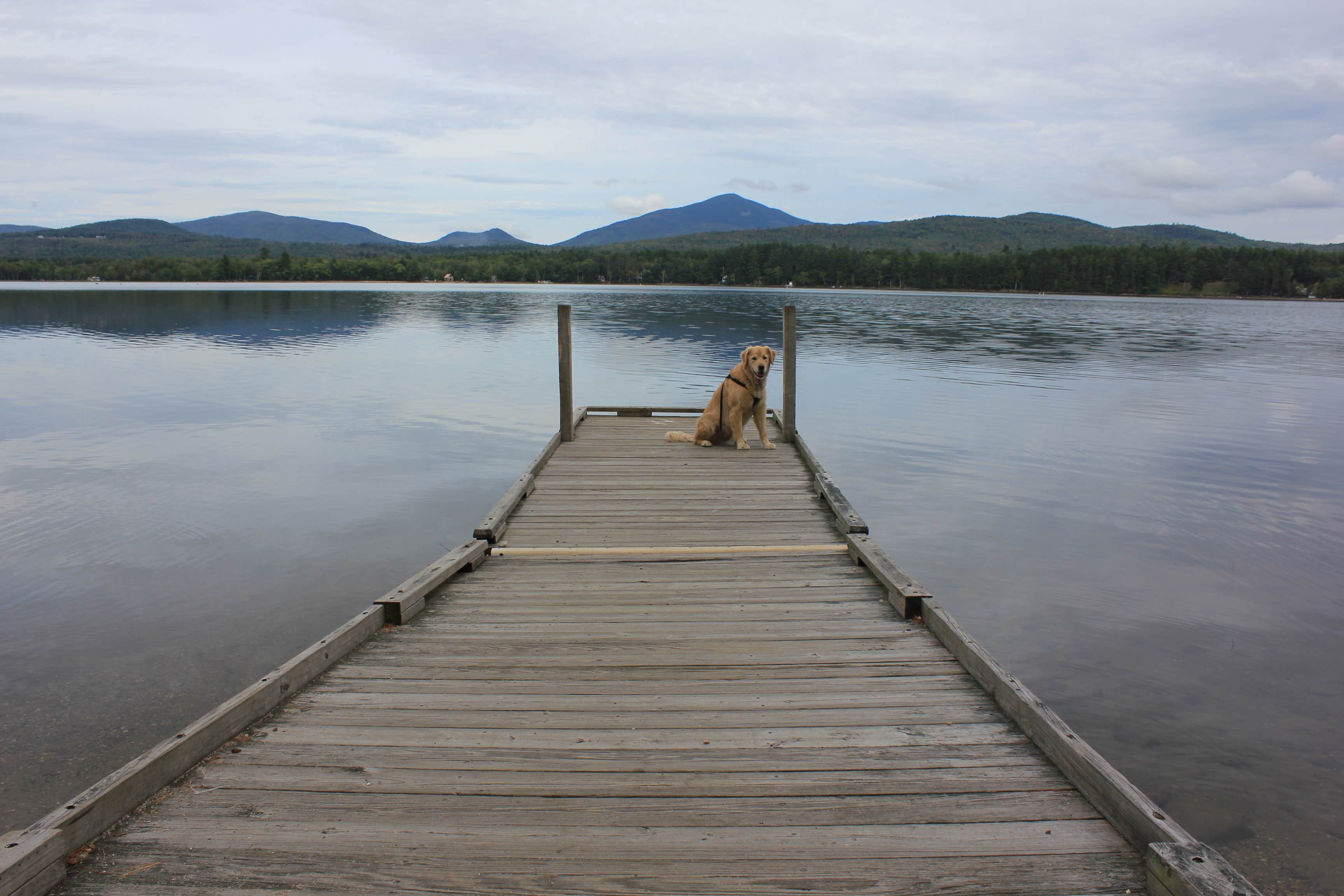 Camper submitted image from Mount Blue State Park Campground - 5