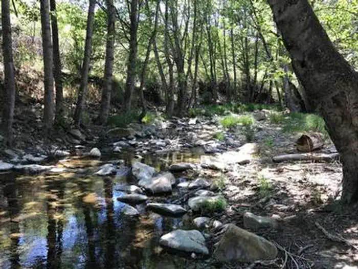 Camper submitted image from Middle Lion Campground - 1