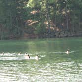 Review photo of Red Top Mountain State Park Campground by Tracy L H., September 27, 2016