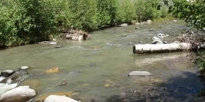 Camper submitted image from Blanco River Group Campground