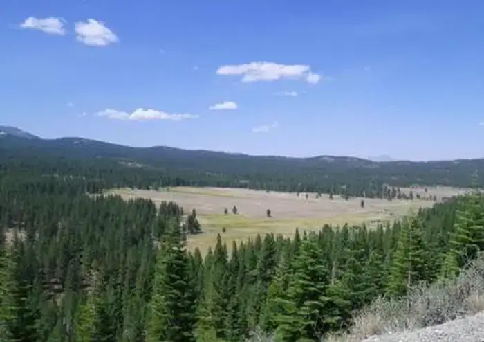 Camper-submitted photo at Lookout Campground near Washoe Valley, NV