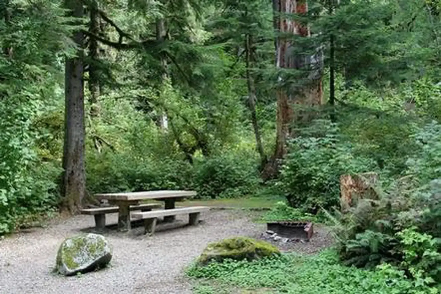 Camper-submitted photo at Bedal Campground near Index, WA