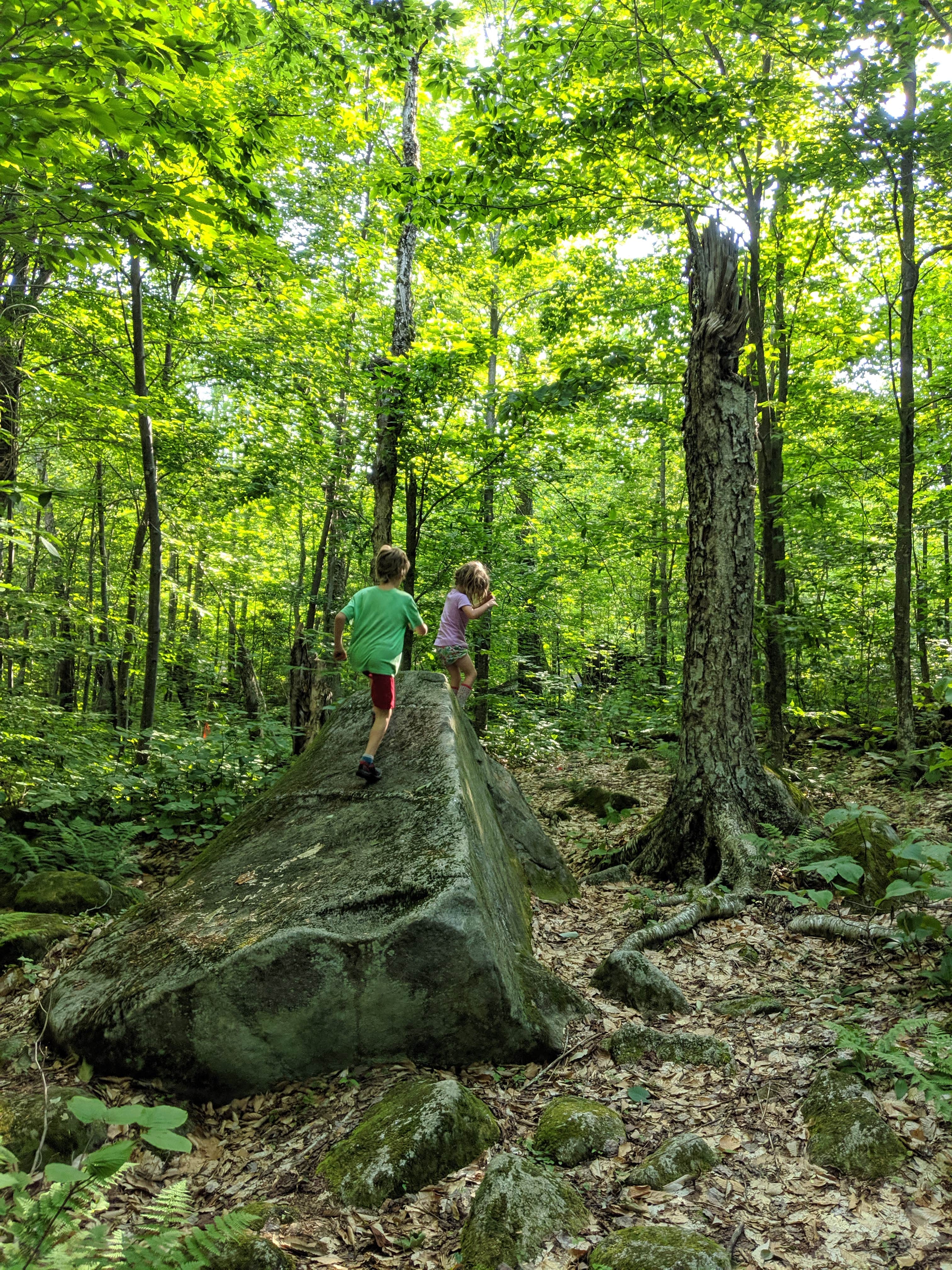 Playing on all the big boulders left behind by glaciers.