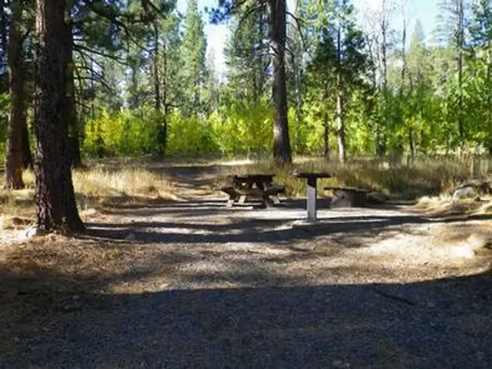 Camper-submitted photo at Lookout Campground near Washoe Valley, NV