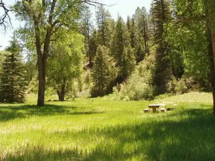 Camper-submitted photo at Blanco River Group Campground near Chromo, CO