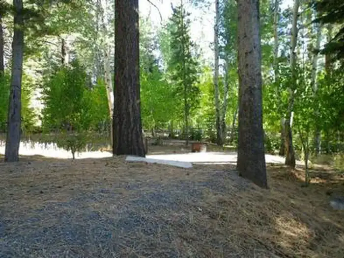 Camper-submitted photo at Lookout Campground near Washoe Valley, NV