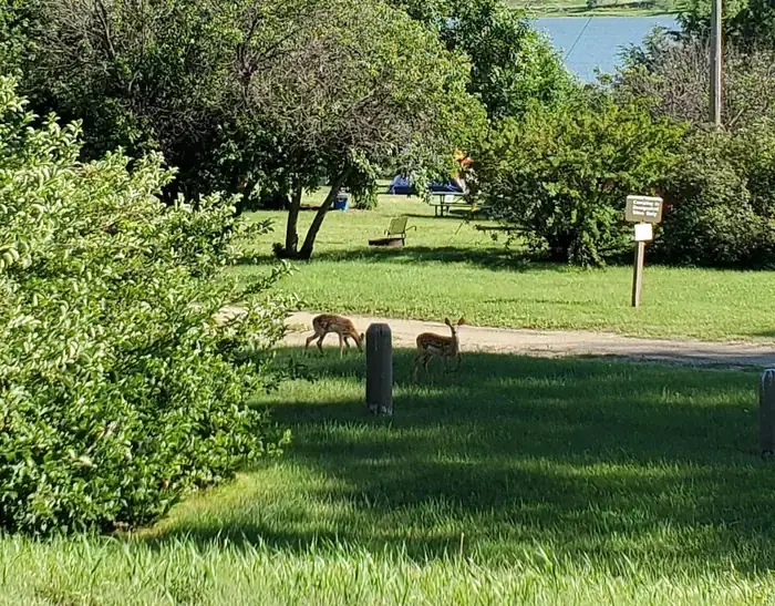Camper-submitted photo at Beaver Creek near Cannon Ball, ND