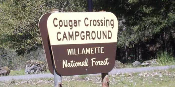 Camper submitted image from Cougar Crossing Campground — Willamette National Forest