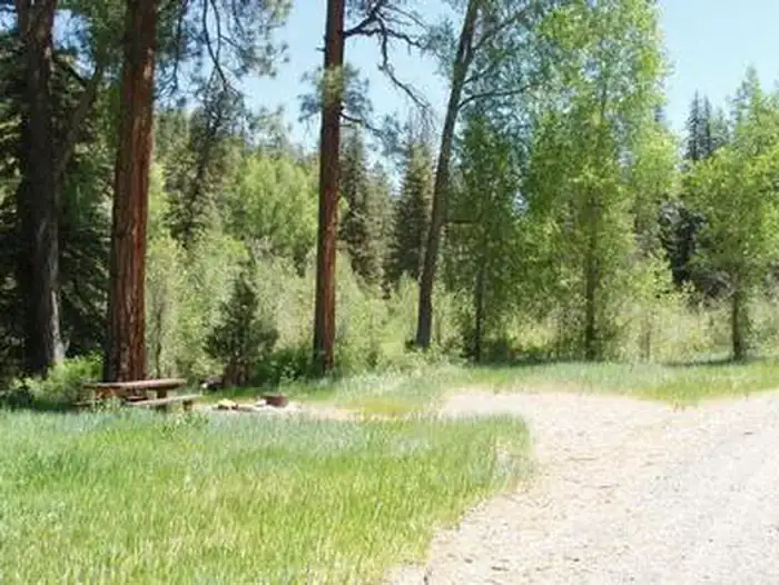 Camper-submitted photo at Blanco River Group Campground near Chromo, CO