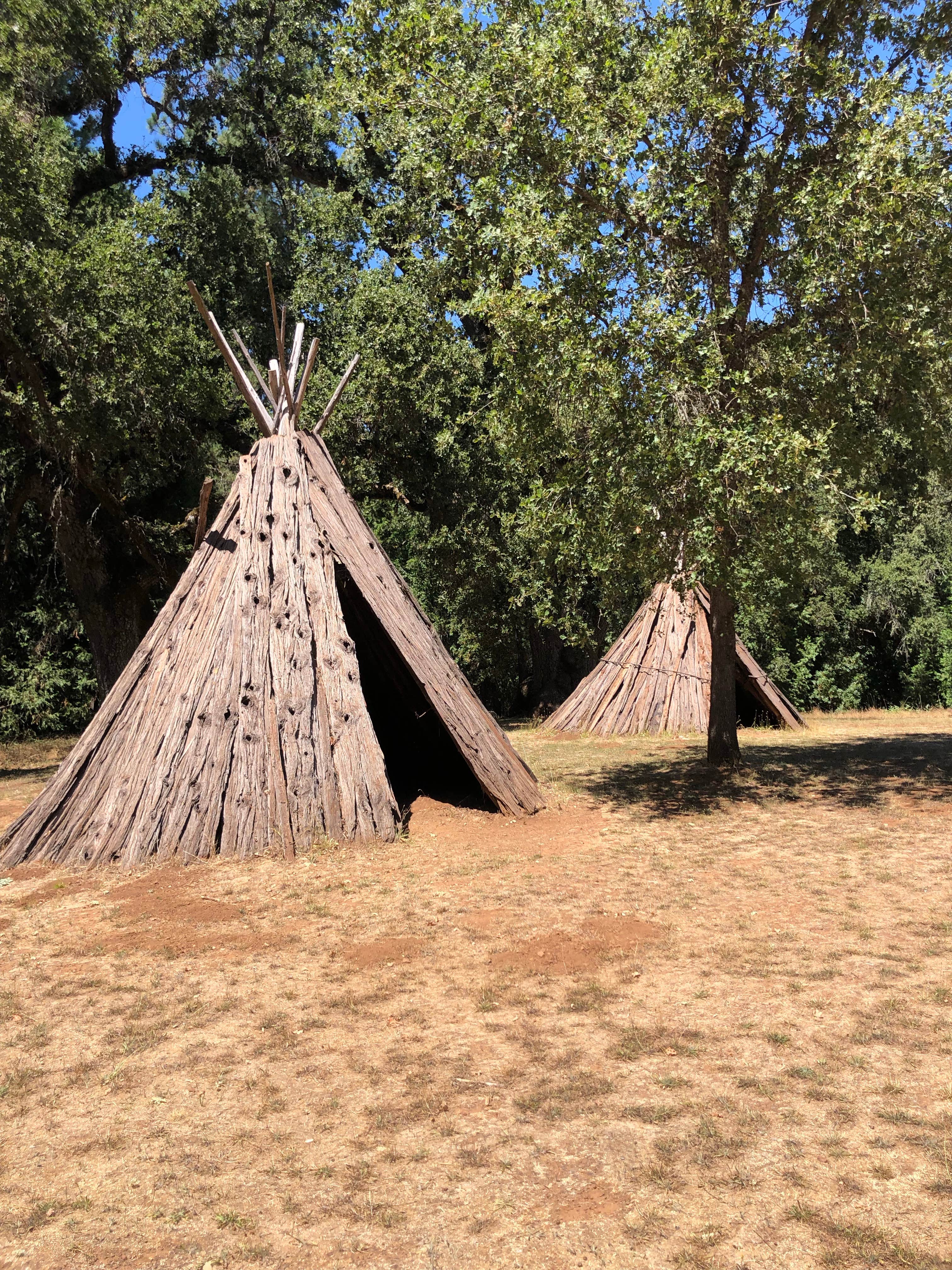 Camper submitted image from Indian Grinding Rock State Historical Park Campground - 3