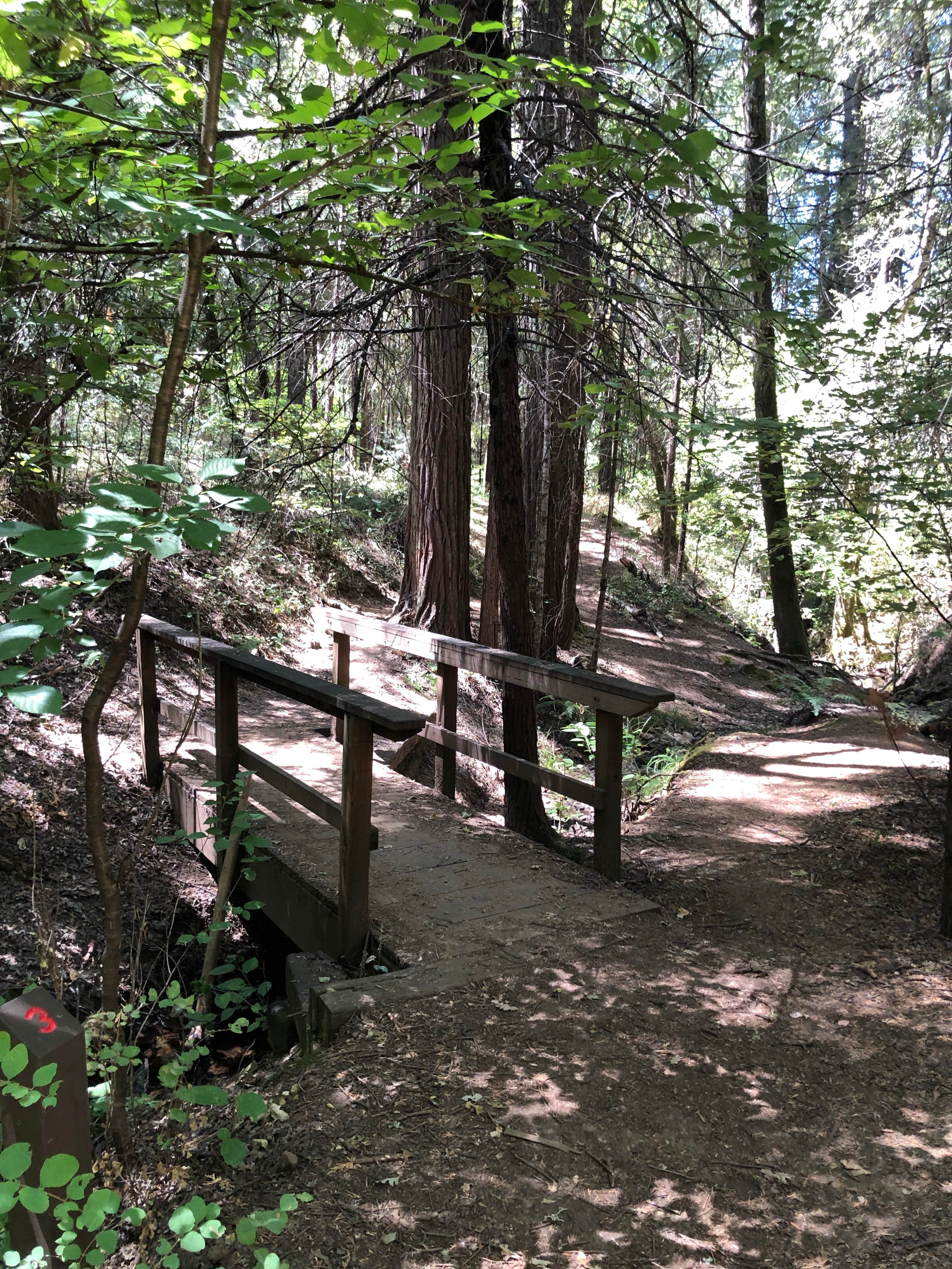 Camper-submitted photo at Indian Grinding Rock State Historical Park Campground near West Point, CA