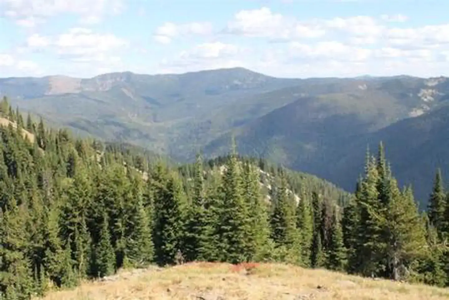 Camper-submitted photo at Cougar Peak Lookout near Trout Creek, MT