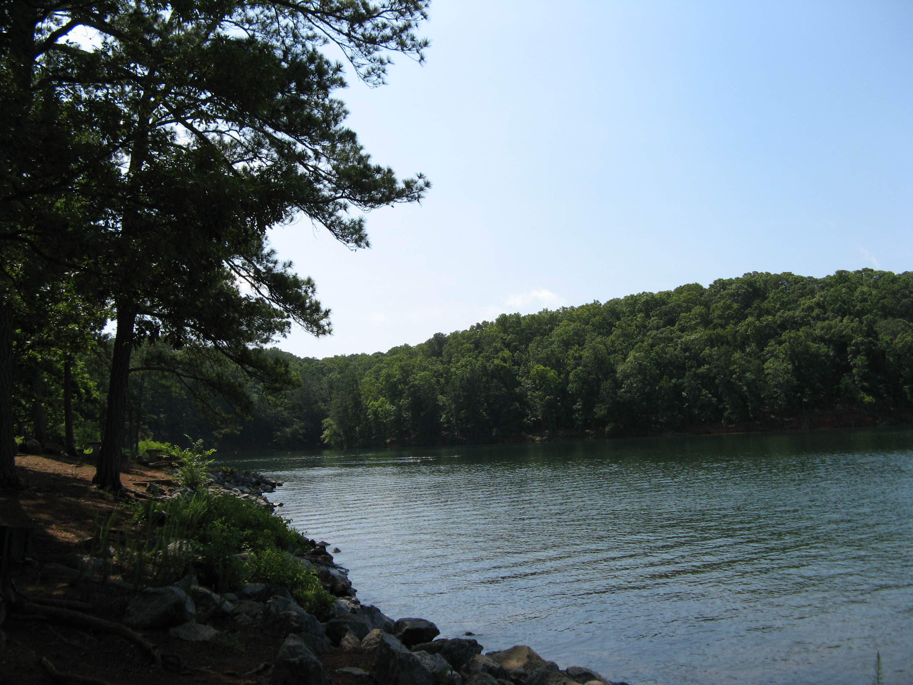 Camper submitted image from Red Top Mountain State Park Campground - 4