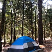 Review photo of Indian Grinding Rock State Historical Park Campground by Olivia A., August 22, 2019