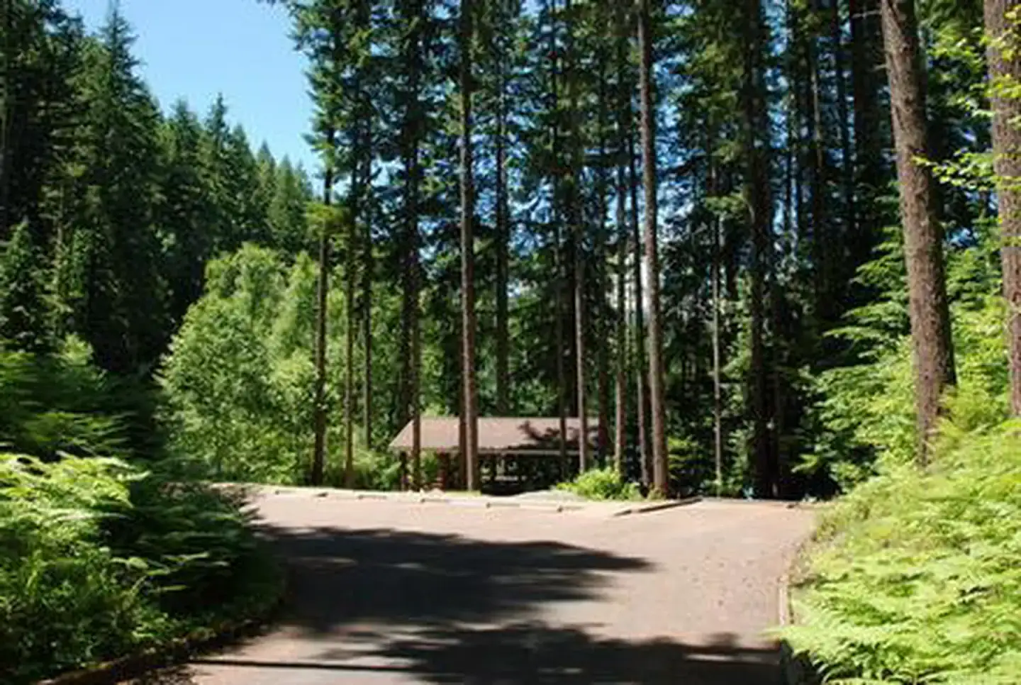 Camper-submitted photo at Cove Creek near Gates, OR