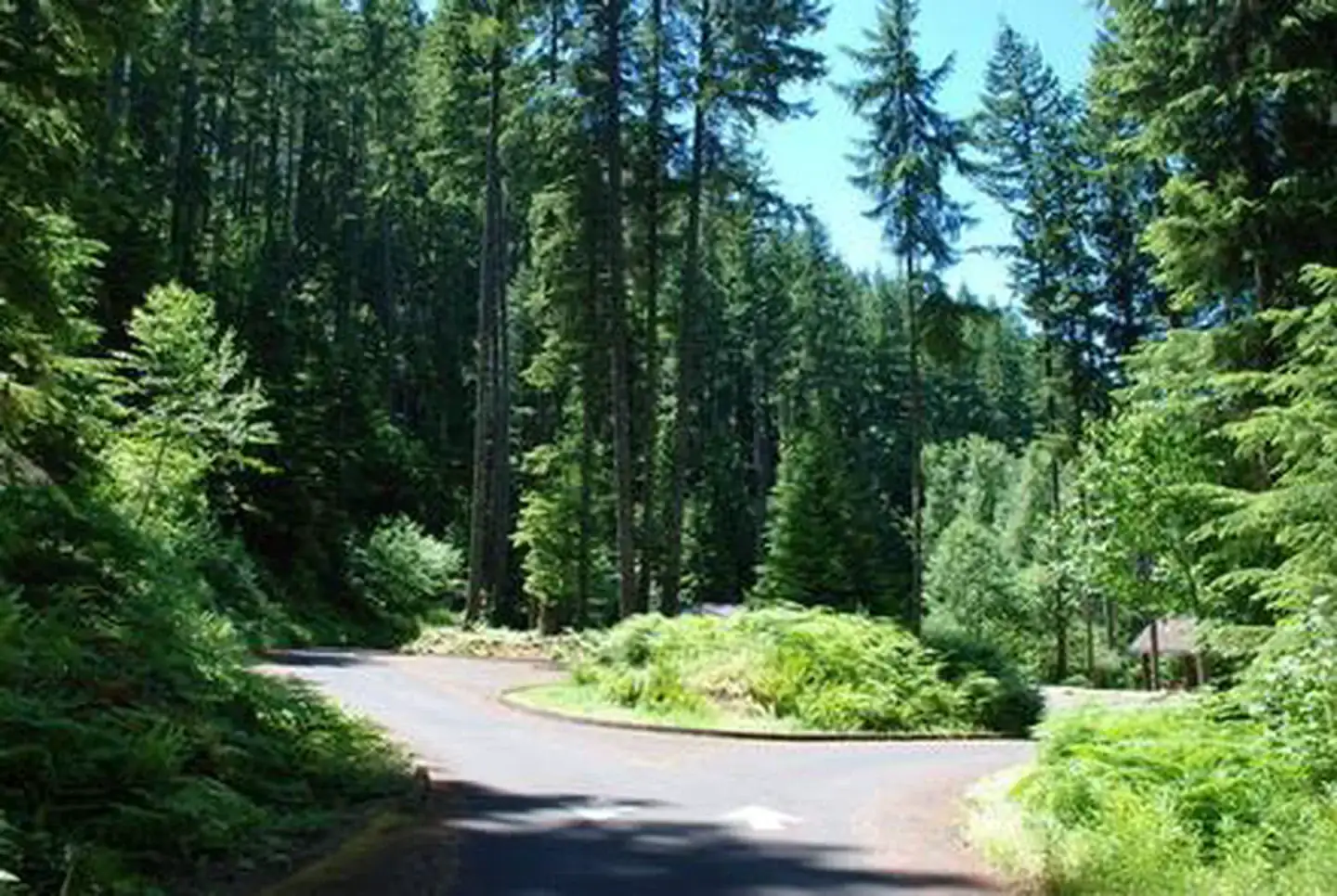 Camper-submitted photo at Cove Creek near Gates, OR