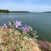 Review photo of Lake Brownwood State Park Campground by Troy W., August 22, 2019