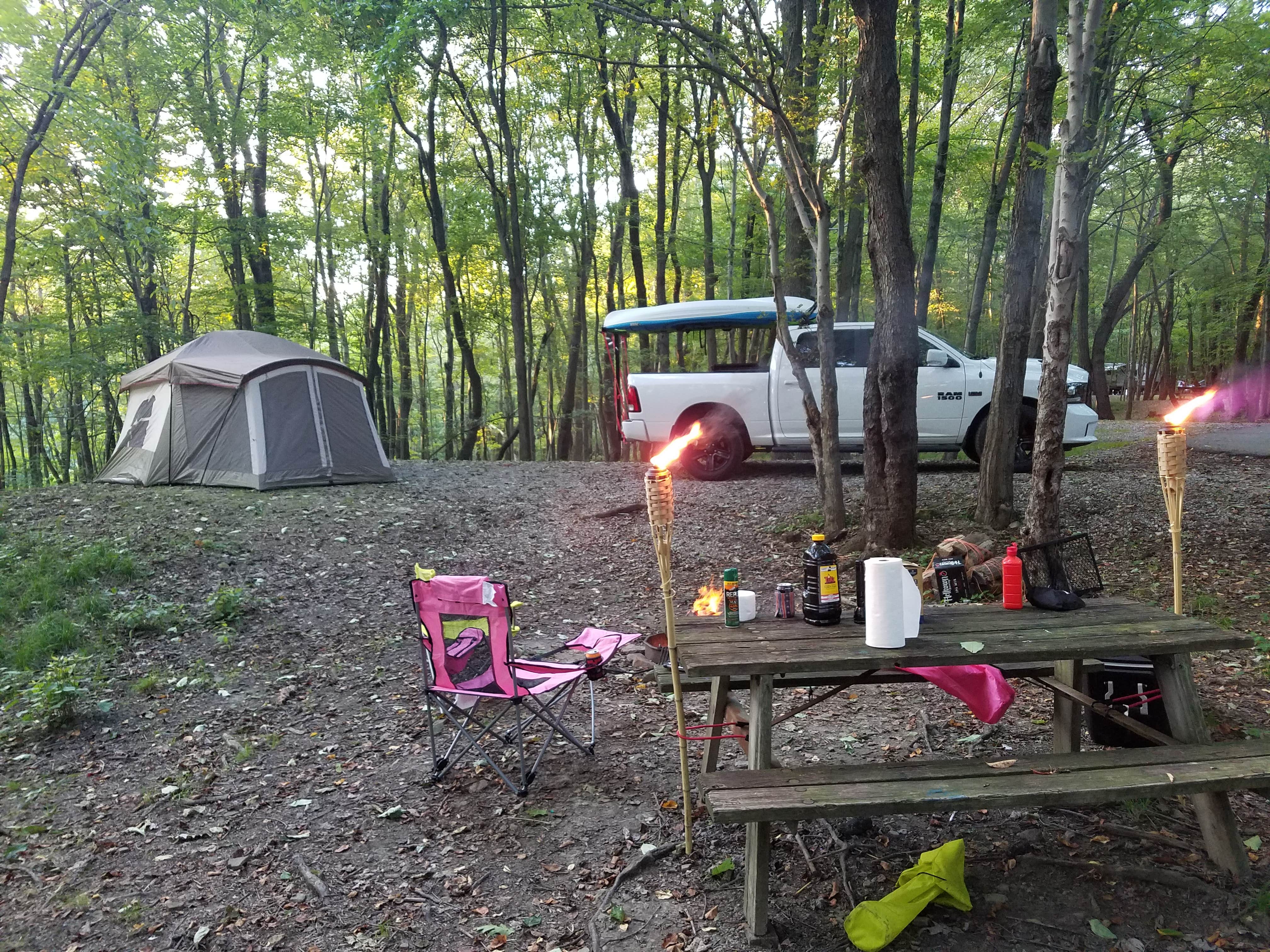 Camper submitted image from Tomlinson Run State Park Campground - 2