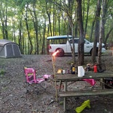 Review photo of Tomlinson Run State Park Campground by Dusty R., August 22, 2019