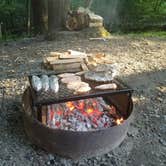 Review photo of Tygart Lake State Park Campground by Dusty R., August 22, 2019