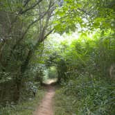 Review photo of Chattahoochee Bend State Park Campground by Jan P., August 22, 2019