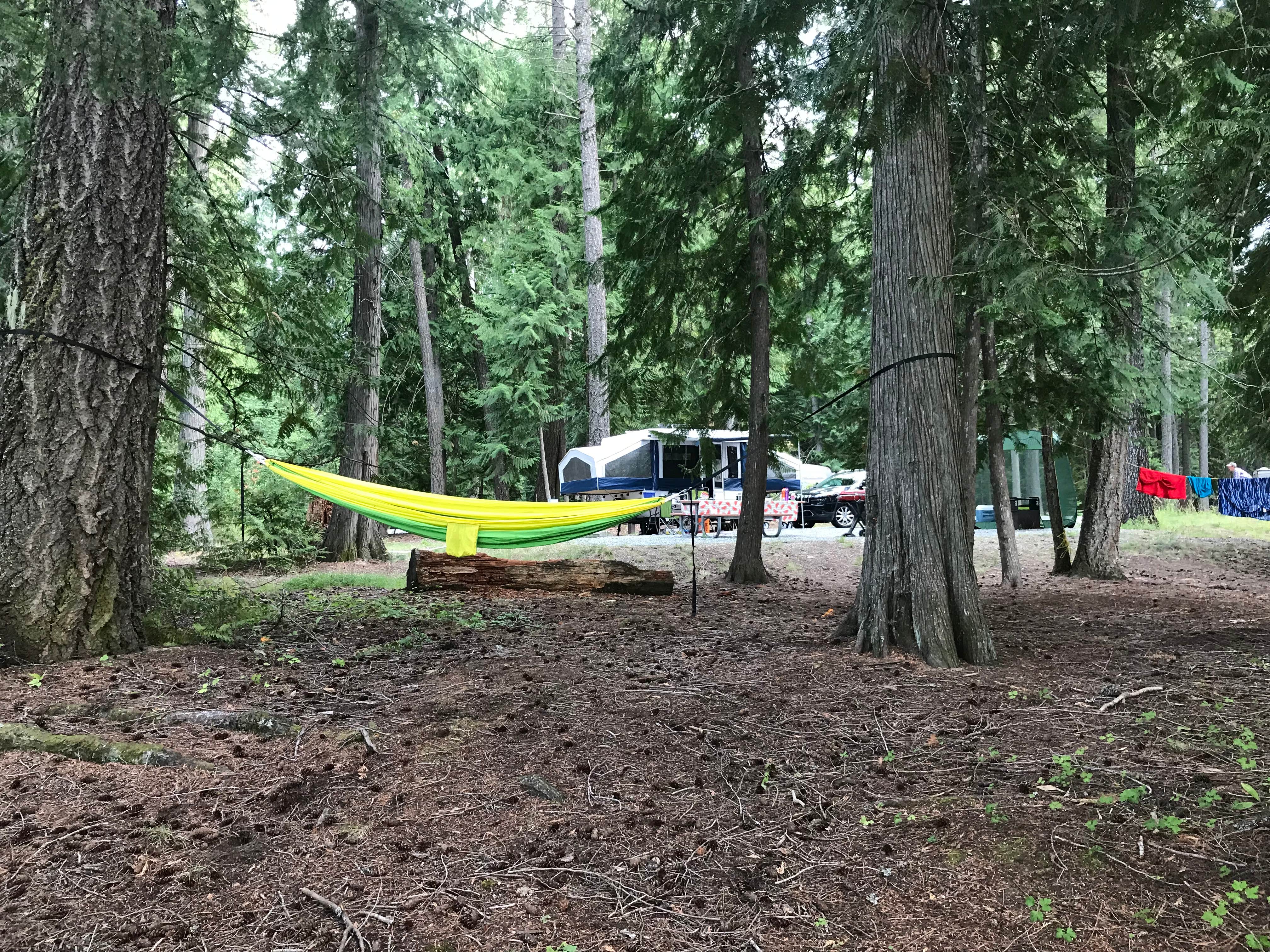 Camper submitted image from Riley Creek Campground - 5