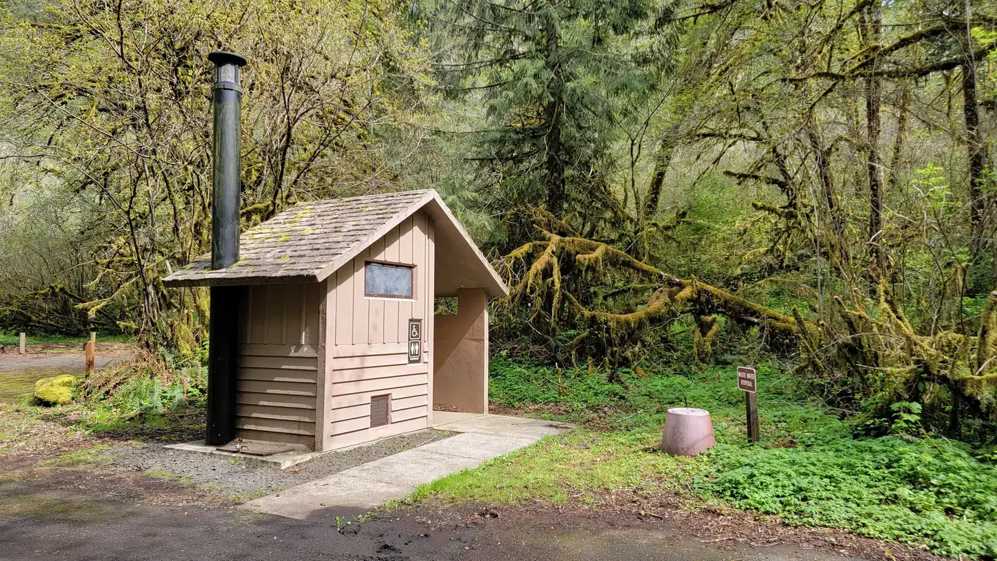 Camper-submitted photo at Alder Glen Recreation Site near Willamina, OR