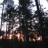 Review photo of Sweetwater Campground by Tracy L H., September 27, 2016