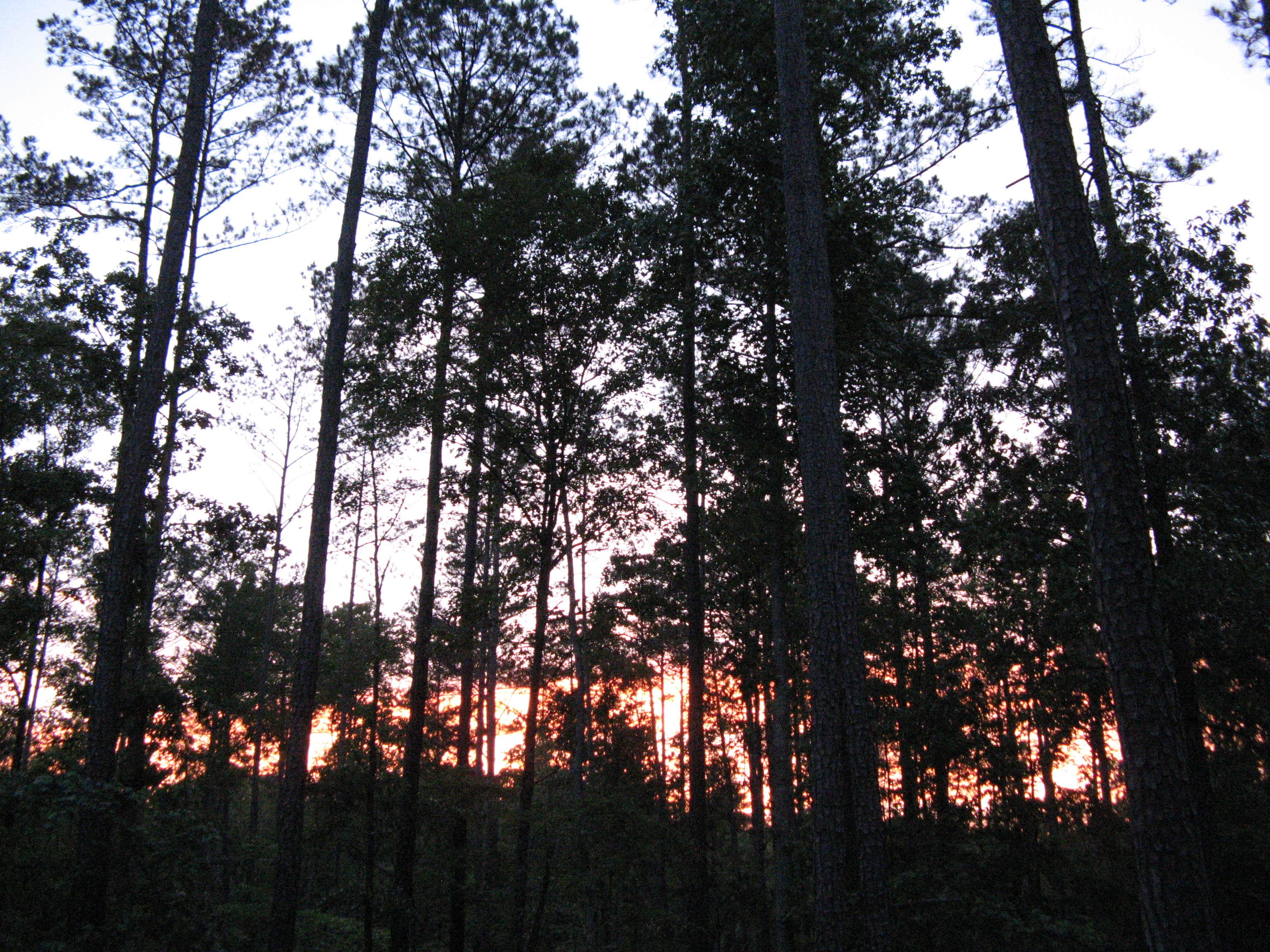Camper submitted image from Sweetwater Campground - 2