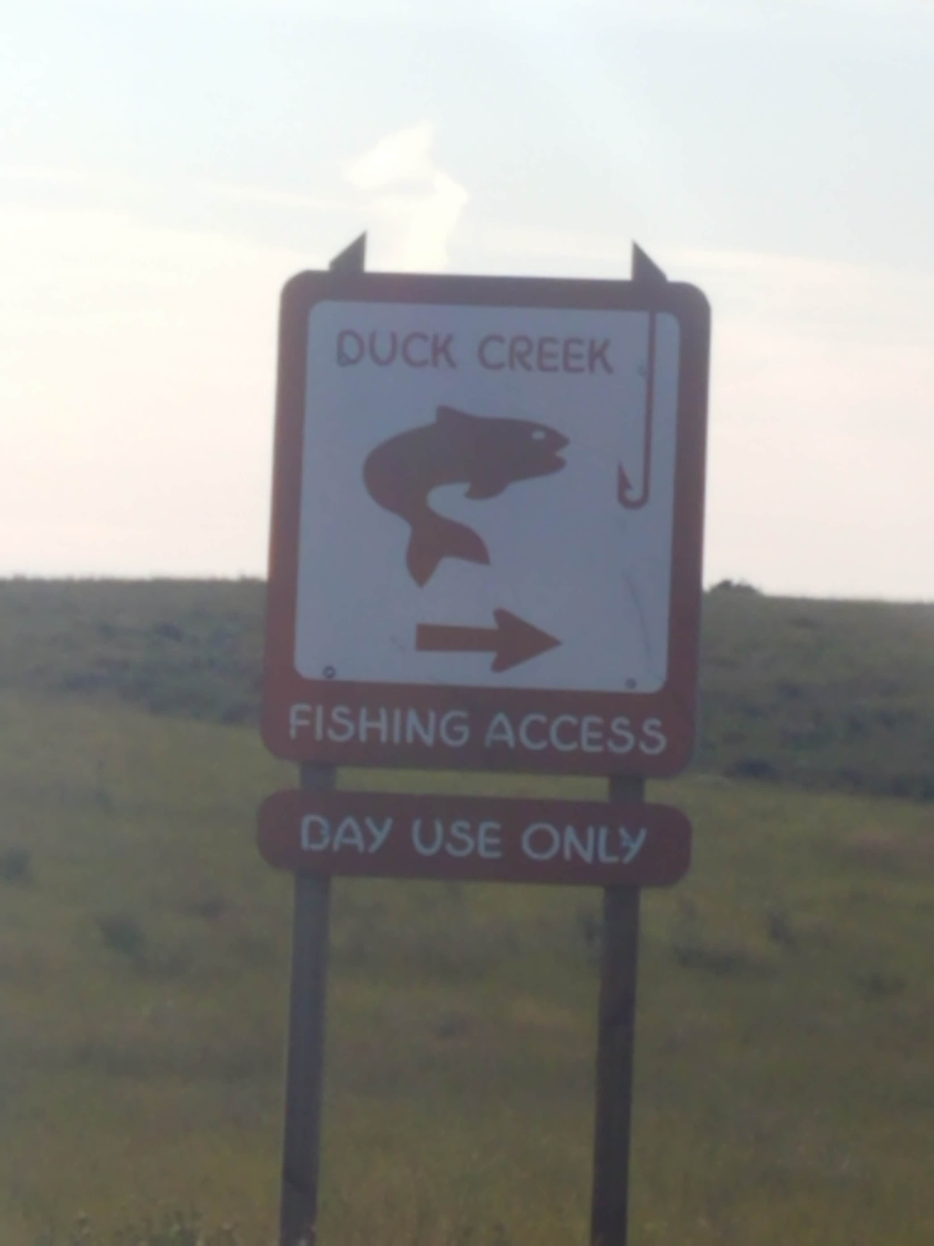 Camper submitted image from Duck Creek - 4