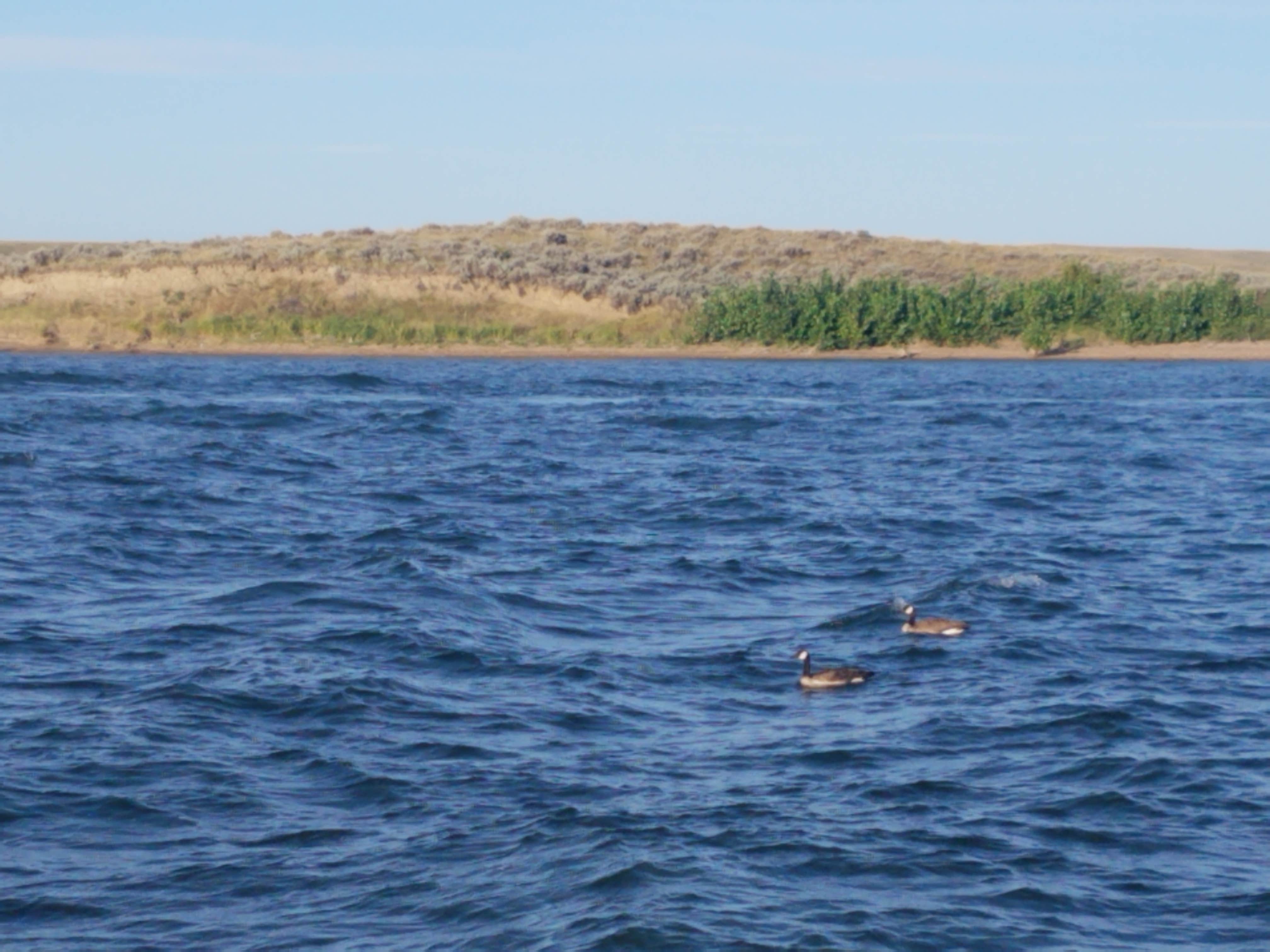Camper-submitted photo at Duck Creek near Jordan, MT
